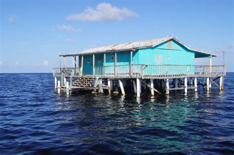 They feature a hammock built into the verandas. Authentic Florida: Pasco County's Stilt Houses | Sarasota ...
