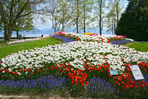 Welcome Spring At The Morges Tulip Festival Luxe Adventure Traveler