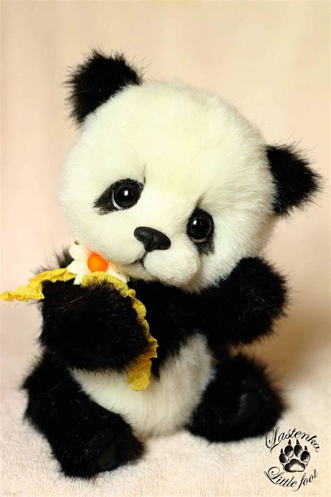 This Panda Is So Cute You Cant Stop Starring At Its Eyes Cute Panda