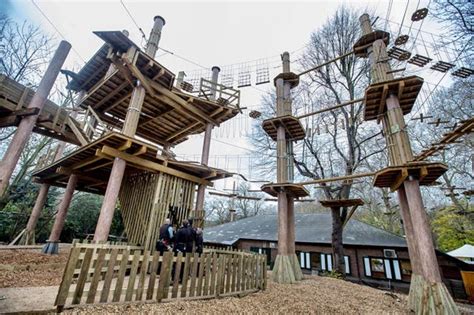 Go Ape Closes Adventure Park Amid Investigation After Person Injured At