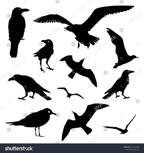 Collection Bird Silhouettes Stock Illustration 1227532288 Shutterstock