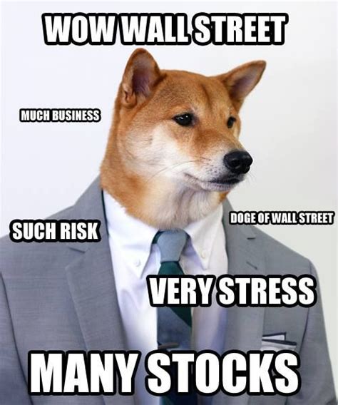 Doge Meme Wow Many Doge Pinterest Wall Street Funny And The Ojays
