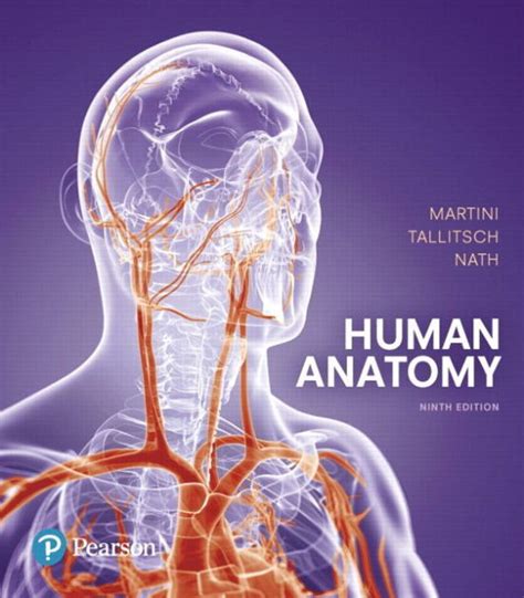 Human Anatomy Ninth Edition Edition 9 By Frederic Martini Robert