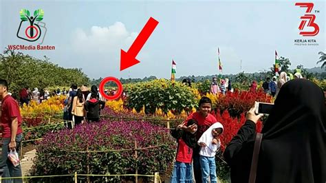 Taman bunga di pandeglang duration. Taman Bunga Kaduhejo Pandeglang : Yuk Kenali Lebih Dekat ...