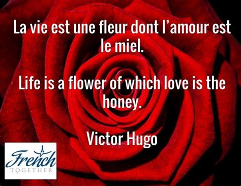 12 Beautiful French Love Quotes With Translation Frenchtogether