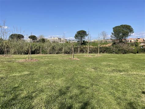 Inaugurato un bosco urbano in via Giordani. Umberti: "Il nostro