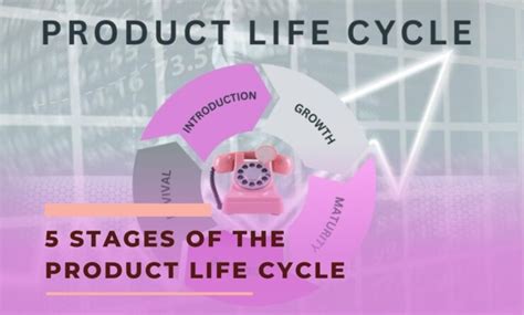 5 Stages Of The Product Life Cycle Definition And Examples
