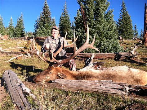 Ultimate Elk Hunting Outfitters Lodges Trips Guides For Elk Hunts