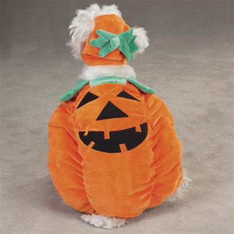 Zack And Zoey Pumpkin Pooch Dog Costume Baxterboo