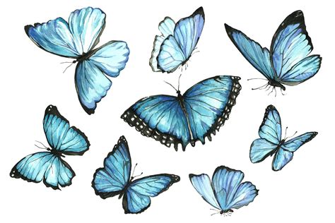 Set Of Watercolor Blue Butterflies Butterfly Watercolor Butterfly