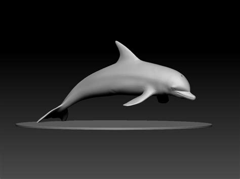 Stl File Dolphin 🐬・3d Printing Design To Download・cults