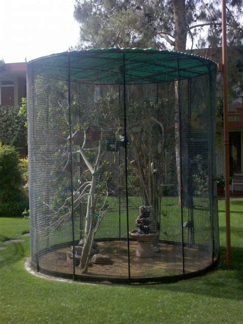 Great Idea For Pet Birds In A Location Where They Should Be Outdoor