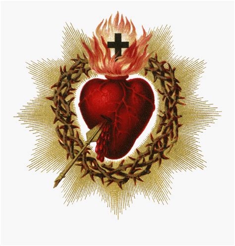 Sacred Heart Pictures Sacred Heart Of Jesus Png Free Transparent