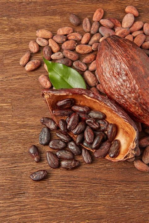 Scattered Raw Cocoa Beans And Pods Stock Image Image Of Chocolate