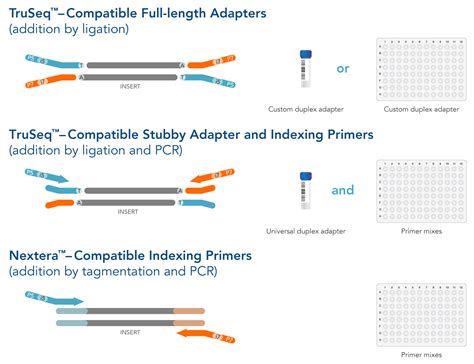 A sequencing machine read a molecule and this is what it thinks it is. Custom NGS adapters designed for your experiment | IDT
