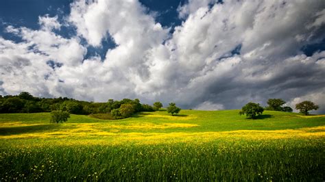 Beautiful Green Grass Field Under Blue And White Cloudy Sky During Daytime 4k Hd Nature