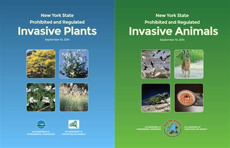 Invasive Species Awareness Week Terrestrial Tuesday Soil And Water