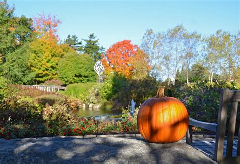 Coastal Maine Botanical Gardens Things To Do In Boothbay