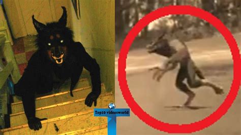 Top 10 Werewolf Caught On Camera And Spotted In Real Life Unbelievable