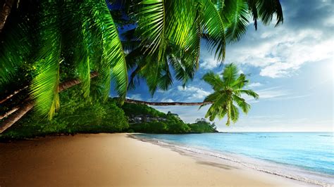 Free Download Tropical Beach Paradise 4k Ultra Hd Desktop Wallpaper