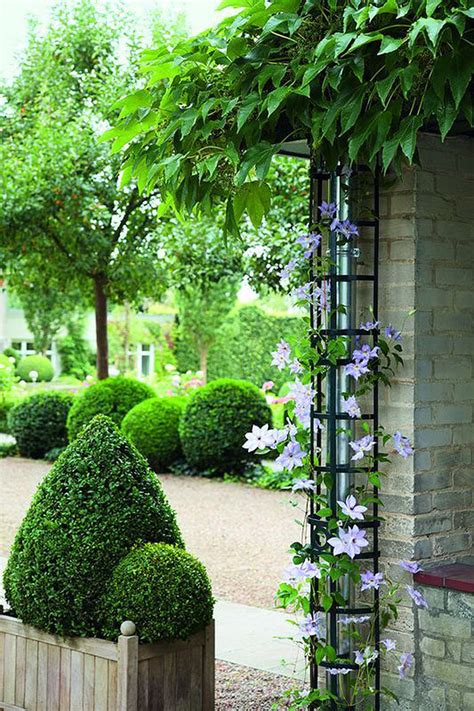 If you have a small yard, trellises are also a great way to train your plants to grow vertically and save space. 24 Best DIY Garden Trellis Projects (Ideas and Designs ...
