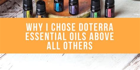 Why Doterra Essential Oils Mint Essential Wellbeing
