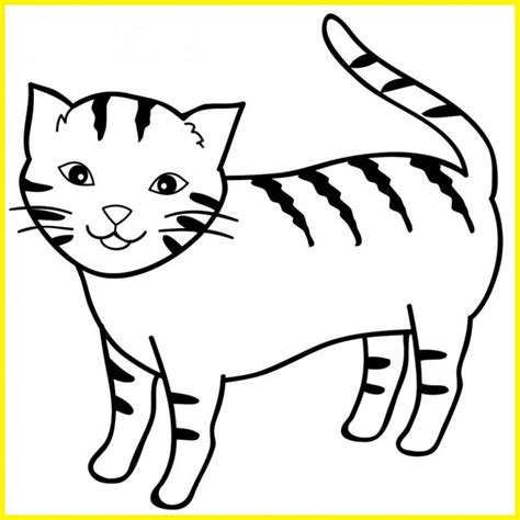 99 Sketsa Gambar Kucing: Lucu, Unik, Menarik Menggemaskan - Sindunesia