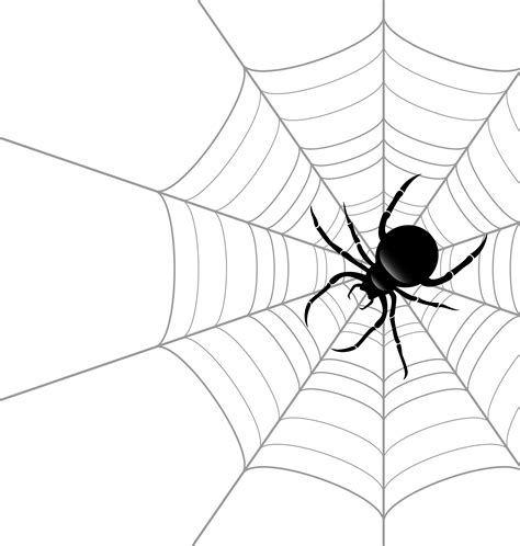 Spider Web Transparent Png Stickpng Images