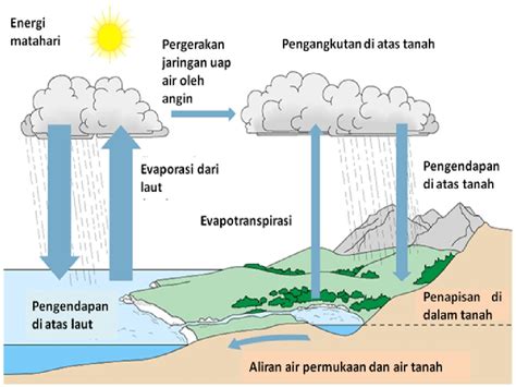 Siklus Air Dan Penjelasannya Evaporasi Tumbuhan Imagesee Riset