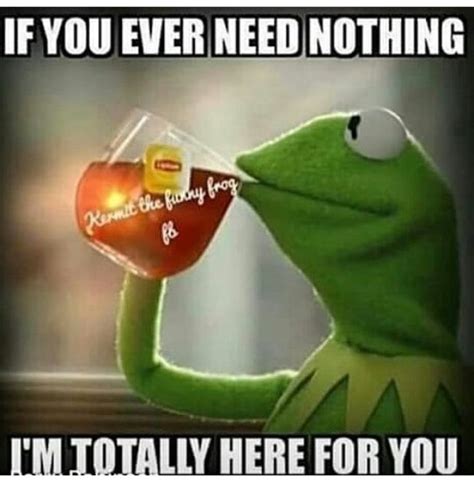 183 Best Images About Kermit Memes On Pinterest