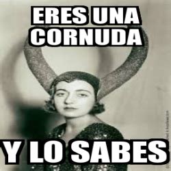 Meme Personalizado Eres Una Cornuda Y Lo Sabes