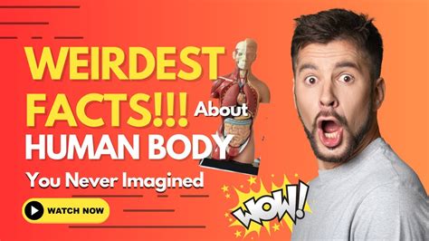 30 Weirdest Human Body Facts To Watch Now Youtube