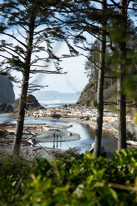 Insiders Guide To Visiting Washington States Olympic National Park