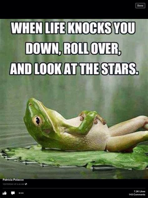 Frog Saying Inspirational Quotes Funny Quotes Wisdom Quotes
