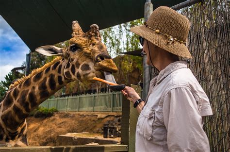 Wonders of Wildlife (WOW) - National Zoo & Aquarium Reservations