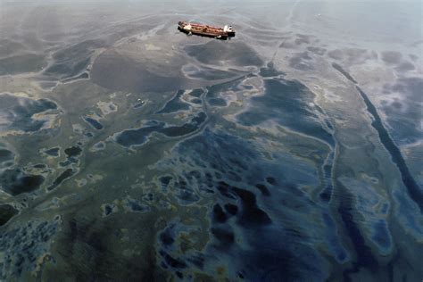 The Oil Spill Cleanup Illusion Hakai Magazine
