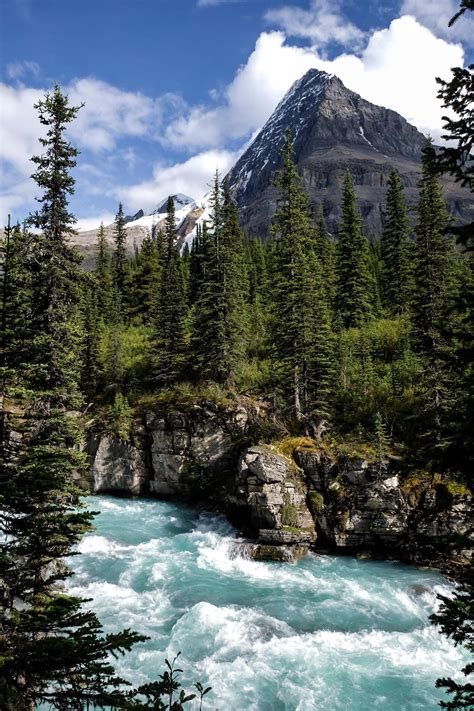 My Kind Of Summer View Mount Robson In Beautiful British Columbia