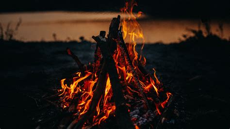 Download Wallpaper 2560x1440 Bonfire Fire Flame Dark Dusk