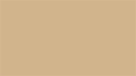 Tan Solid Color Background Wallpaper 5120x2880