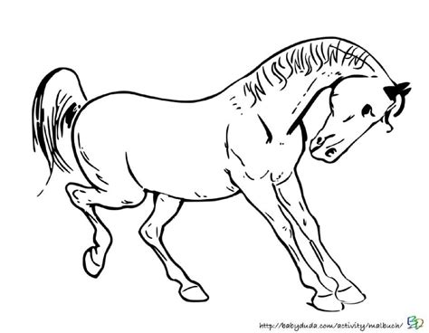 malbild pferd | Ausmalbilder Fur Euch - Malvorlagen Kostenfreier Download