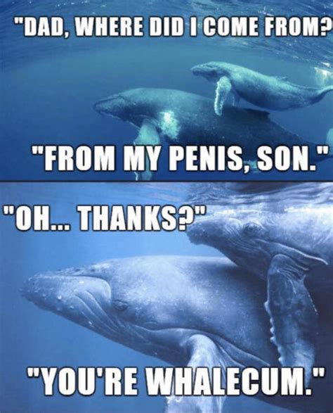 Whale And Son Bonding Rmemes