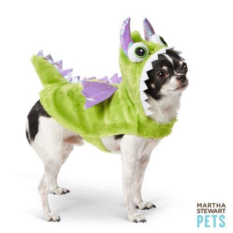 14 Best Halloween Costumes For Dogs Large Dog Costumes Dog Halloween