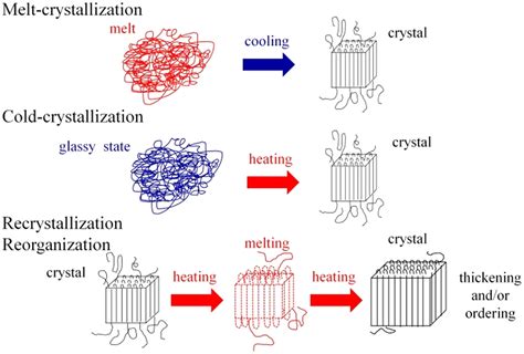 Crystallization Recrystallization And Melting Of Polymer Crystals On