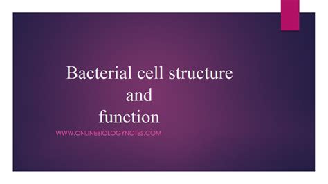 We did not find results for: Bacterial cell structure and function - Online Biology Notes