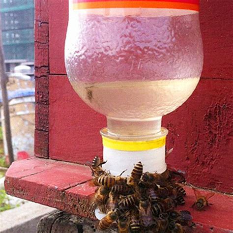 Ebtools Beekeeping Equipment Tools Bee Waterer Bee Water Feeder 16x1