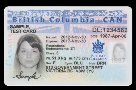 The New Drivers License Renewal Process For Senior Citizens In Ontario