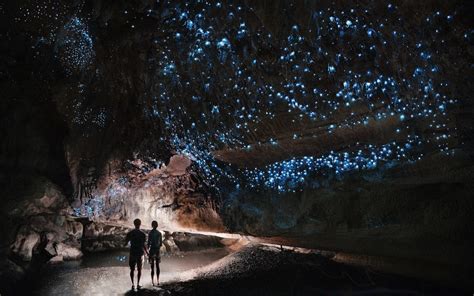 Under A Glow Worm Sky Couple Shining A Light Into Waipu Cave Filled