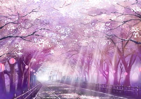 Sakura Scenery Background Anime Backgrounds Wallpapers Scenery