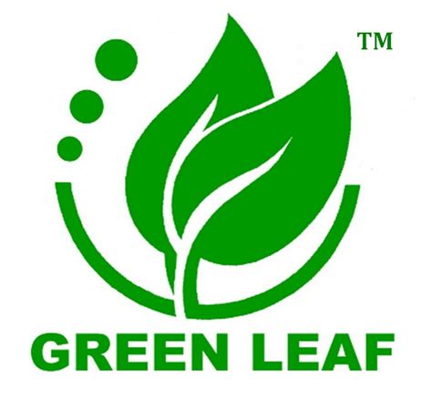 Set of natural logo for branding, corporate identity, packaging and business card. Green leaf Logos