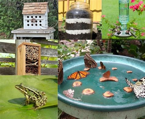 From small suburban spaces to big plots of land out in the country, there are plenty of opportunities to view wildlife up close and even help them, too. 10 Cool Ways To Attract Endless Wildlife To Your Backyard!